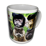 NEW CAPUCHIN MUG